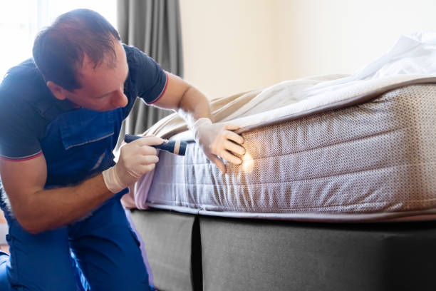 Best Bed Bug Extermination  in Rogers, TX